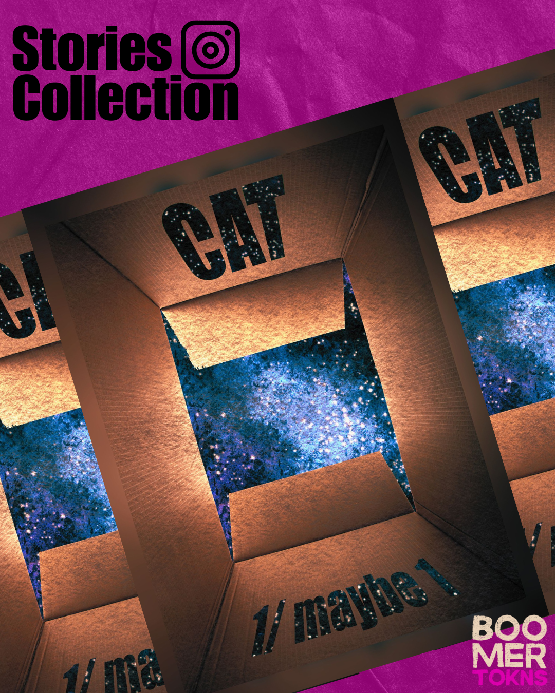 The Schrödinger Cat