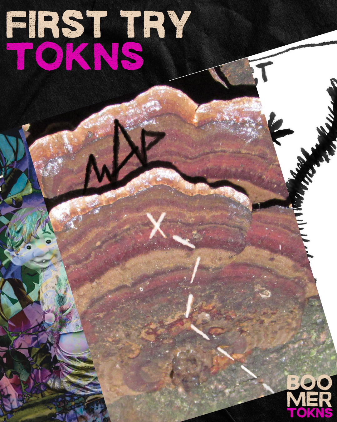 First Try full Collection