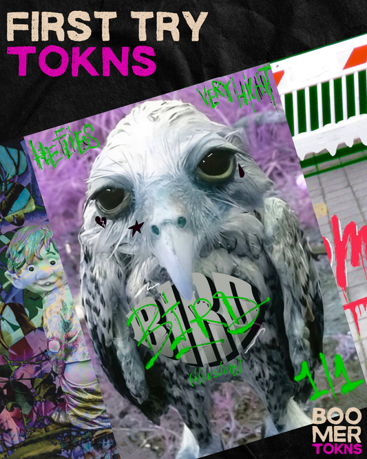 Bird Illusion Flying 1/1 Foil - Presale