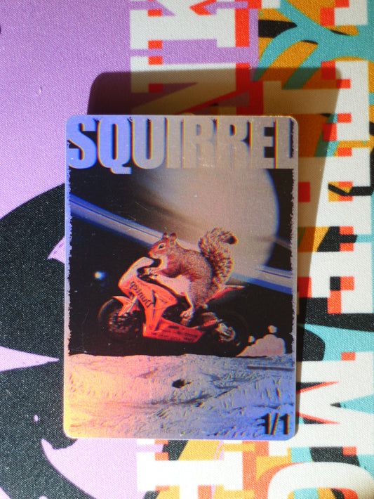 Squirrel 1/1