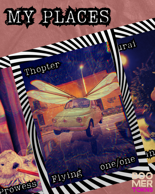 Topter 1/1 Flying Foil